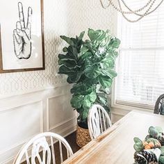 a dining room table with chairs and a potted plant