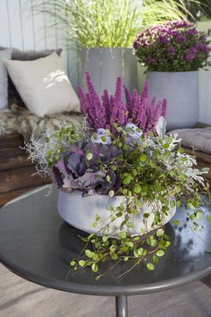 purple flowers are in a white pot on a table with other plants and pillows behind it