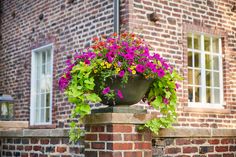 a planter filled with flowers sitting on top of a brick wall