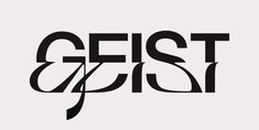 the logo for geist and fis is shown in black on a white background,