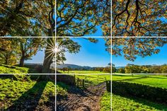 four different shots of the sun shining through trees and grass in front of a field