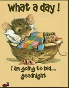 a card that says, what a day i am going to bed goodnight with a mouse