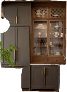 a cabinet with glass doors and shelves in the middle of it, next to a potted plant