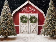 two christmas trees in front of a red barn