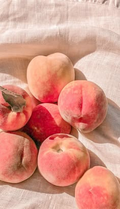 several peaches are sitting on a white cloth