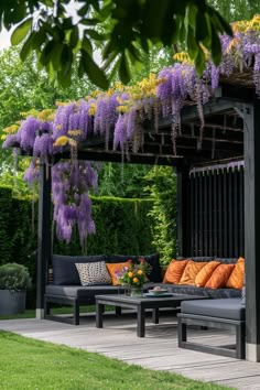 an outdoor seating area with wistery plants on the pergoline and couches