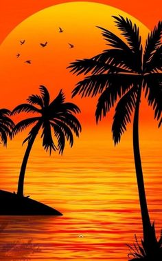 a sunset with palm trees and birds flying in the sky over water at an island