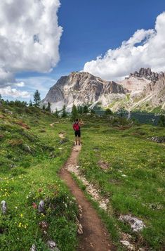 a person hiking up a trail in the mountains with wildflowers on either side