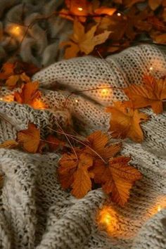 autumn leaves on a blanket with lights in the background