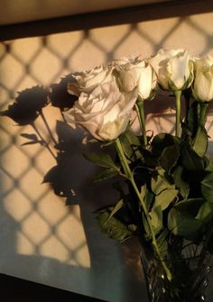 some white roses in a glass vase on a table with the shadow of a wall behind them