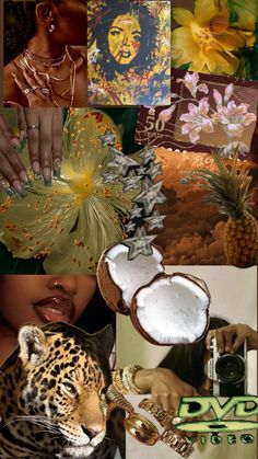 a collage of photos with various pictures and words on it, including flowers, coconuts, leaves, an animal's face