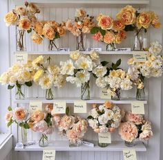 many different types of flowers in vases on a shelf with notes attached to them