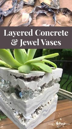 a close up of a plant in a vase on a table with text overlay that reads layered concrete and jewel vases