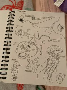 an open notebook with drawings of sea animals and fish on it's cover, sitting on a bed