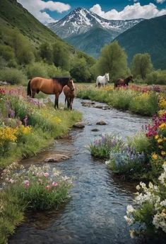 two horses are standing in the grass near a stream and flowers with mountains in the background