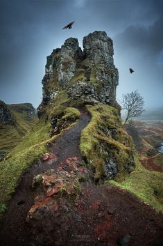 two birds flying over the top of a tall rock formation with moss growing on it's sides