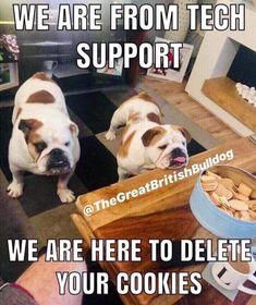 two dogs sitting next to each other in front of a table with cookies on it