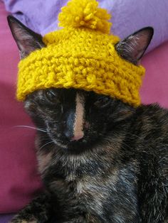 a cat wearing a yellow knitted hat on top of its head and sitting next to a pillow