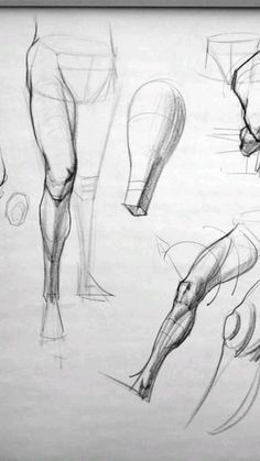 a drawing of different types of legs and feet