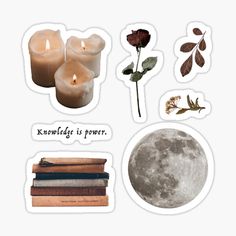 Dark academia witch aesthetic sticker pack. Witchcraft sticker pack. Dark academia bedroom. Fall witch aesthetic stickers. Knowledge is power quote. Moon, candles, books and dried flowers. Dark academia moon sticker. #darkacademia #fallacademia #darkacademiapack #lightacademia #whimsigoth #fallwitch #witchyacademia #witchcraft #knowledgeispower #academiaquotes Witch Aesthetic Stickers, Aesthetic Pictures For Scrapbook, Witchy Stickers Printable, Dark Academia Stickers Printable, Academia Witch Aesthetic, Moon Stickers Printable, Moon Stickers Aesthetic, Art Stickers Printable, Dark Academia Witch Aesthetic