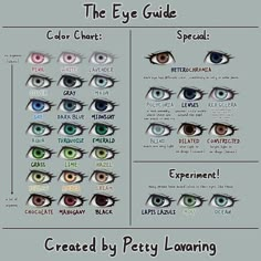 the eye guide for different types of eyes