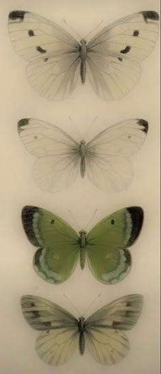 four butterflies are shown in three different positions, one is green and the other is white