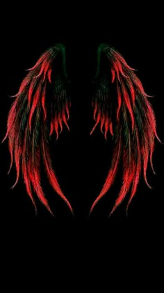 two red and green wings on a black background