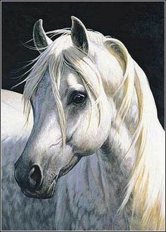 a painting of a white horse with blonde hair