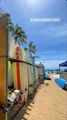 several surfboards are lined up on the beach