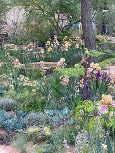 a garden filled with lots of different types of flowers and plants next to a tree