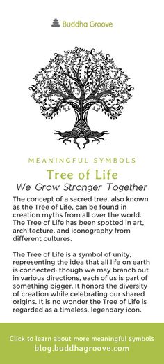 the tree of life website is shown