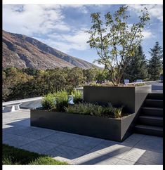 an outdoor planter with trees and plants in it