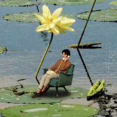 a person sitting on a chair with a flower in the middle of some water lilies