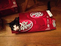 a black and white cat is hiding in a box of dr pepper's candy