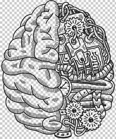 a black and white drawing of a brain with many different parts on it, including the head