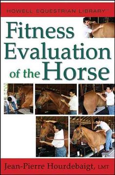 a book cover with pictures of horses in the process of being groomed by two men