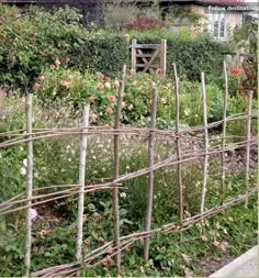 a garden with lots of plants and flowers in front of a house on the other side