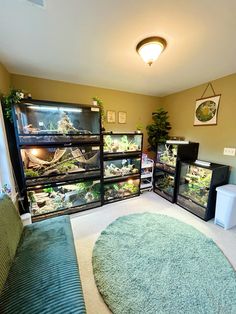 a living room filled with lots of different types of fish in it's tanks