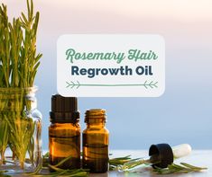 Rosemary Hair Regrowth Oil Hair Regrowth Oils, Hair Oil Recipe, Hair Growth Rate, Hair Regrowth Women, Rosemary Hair, Natural Hair Regrowth, How To Grow Natural Hair, Hair Regrowth Treatments