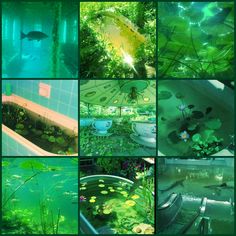 many different pictures of plants and water in a pool with fish swimming around them,