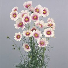 a vase filled with pink and white flowers on top of a wooden table next to a gray wall