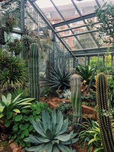 an indoor greenhouse filled with lots of green plants and cacti in the ground