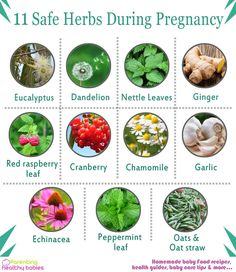 a poster showing the different herbs that are used to treat and use for coughs