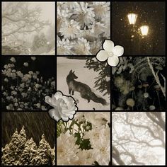 a collage of photos with flowers and lights