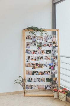 a collage of photos is displayed in front of a window with potted plants