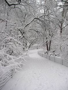 a snow covered path in the woods with trees on either side and fence to the right