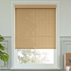 a living room with a large window covered in roman blind shades and a plant next to it