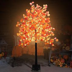 a lighted tree with lots of leaves on it