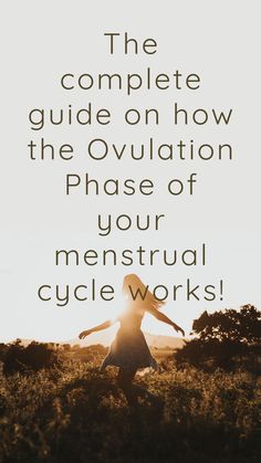 ovulation