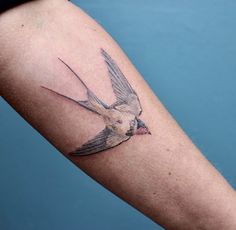 a small bird tattoo on the arm